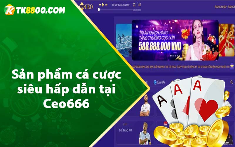 Sản phẩm cá cược siêu hấp dẫn tại Ceo666 