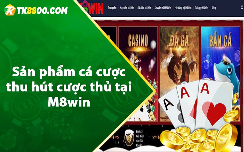 Sản phẩm cá cược thu hút cược thủ tại M8win 