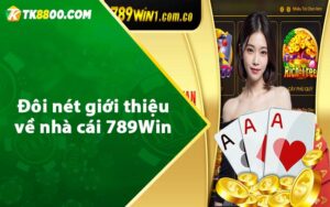 Đôi nét giới thiệu về nhà cái 789Win